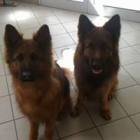 Ostala ponudba salona Diva - 1776469695