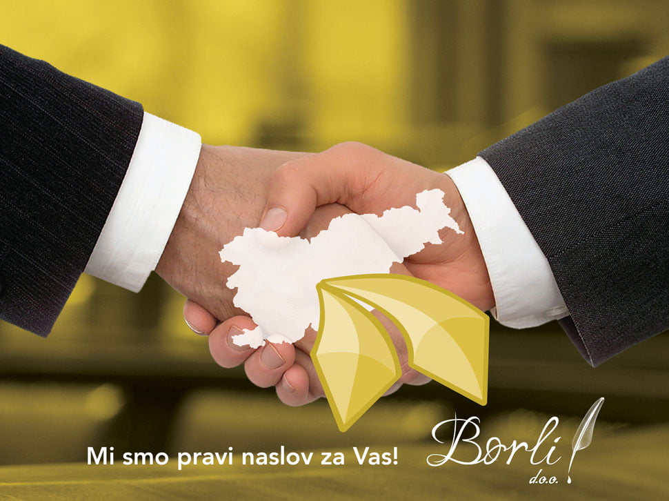 Svetovanje in poslovne storitve za trg Srbije ter Bosne in Hercegovine Borli d.o.o. 102