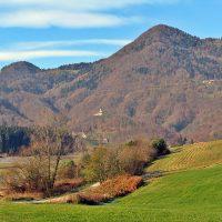 DOBROVLJE - 1789655385
