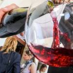 Modri-pinot-pinot-noir-tilia-estate-FB, cover, TILIA