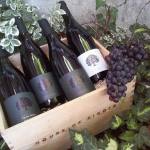 Modri-pinot-pinot-noir-tilia-estate-House of PINOTS, iUFC
