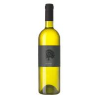 Modri-pinot-pinot-noir-tilia-estate-Modri-pinot-pinot-noir-tilia-estate-TILIA_soncna_nostra_318x1100px-1