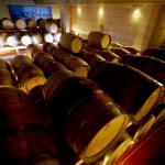 Modri-pinot-pinot-noir-tilia-estate-Nova klet 1