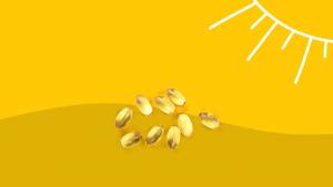 Vitamin d3