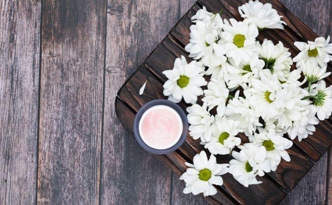 eko mazila